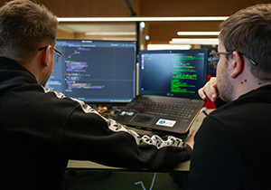 Web Development